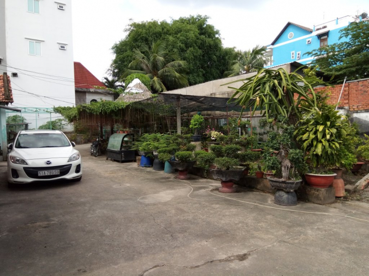 Ngăn hàng xóm xây nhà trổ cửa sổ sang sân nhà Ngăn hàng xóm xây nhà trổ cửa sổ sang sân nhà