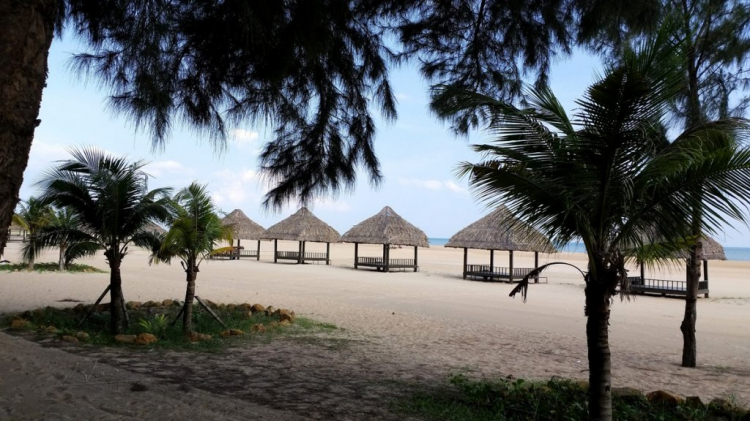 Mùa hè rực rỡ, rong ruổi trên những con đường ven biển Mùa hè rực rỡ, rong ruổi trên những con đường ven biển