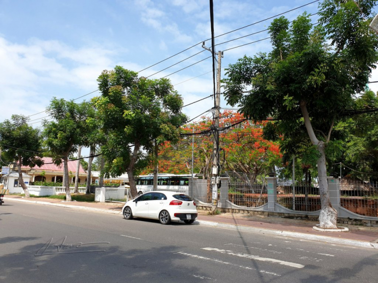 Mùa hè rực rỡ, rong ruổi trên những con đường ven biển Mùa hè rực rỡ, rong ruổi trên những con đường ven biển