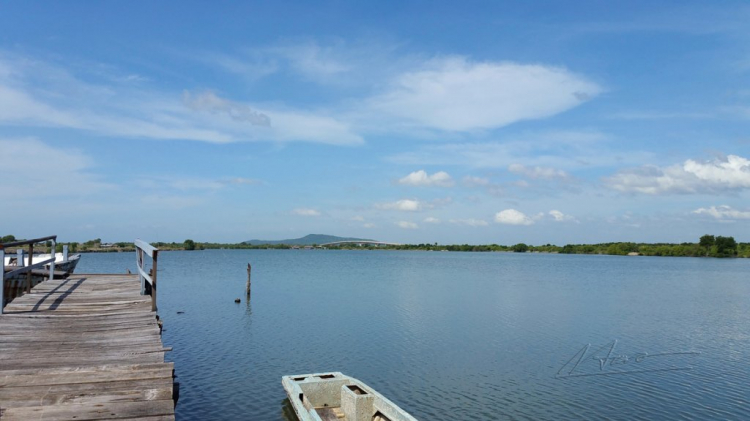 Mùa hè rực rỡ, rong ruổi trên những con đường ven biển Mùa hè rực rỡ, rong ruổi trên những con đường ven biển