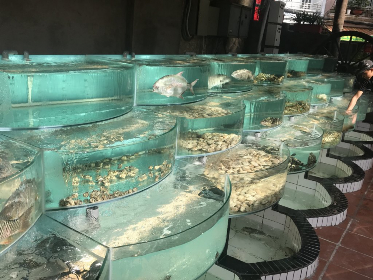 Sài Gòn mua hải sản, ghẹ sống ở đâu tươi ngon Sài Gòn mua hải sản, ghẹ sống ở đâu tươi ngon