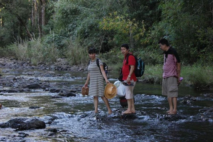 {TIỀN TRẠM}: ngày 17/1: Bù Gia Mập, về với những cánh rừng bạt ngàn,thả mình vào thiên nhiên