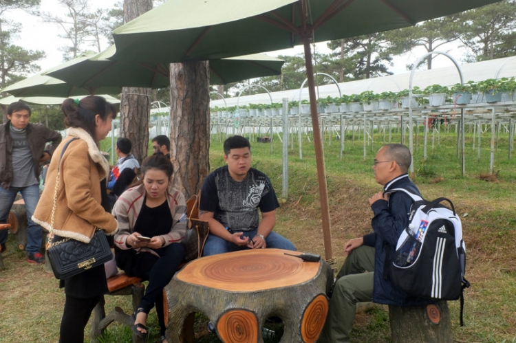 NƠI TỤ TẬP ĂN CHƠI VÀ ĐÓN CHÀO THÀNH VIÊN MỚI CỦA AE SORENTO ! NƠI TỤ TẬP ĂN CHƠI VÀ ĐÓN CHÀO THÀNH VIÊN MỚI CỦA AE SORENTO !