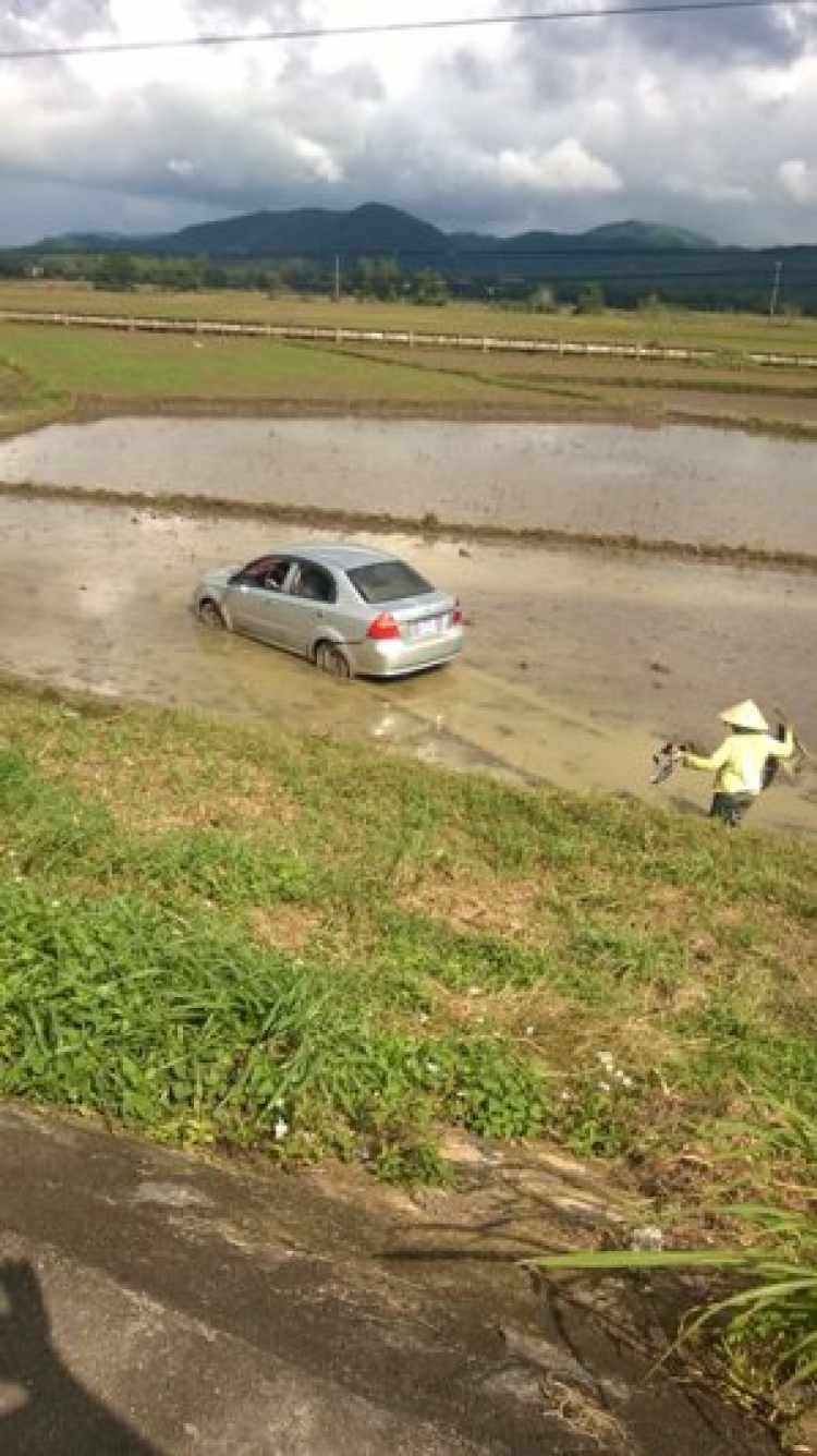 Dùng ôtô thay thế con trâu cày ruộng?