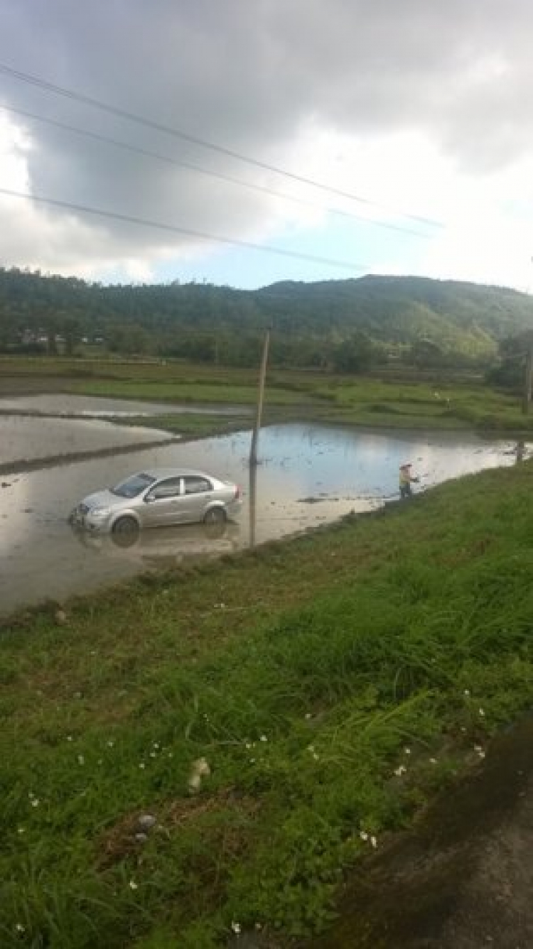 Dùng ôtô thay thế con trâu cày ruộng?