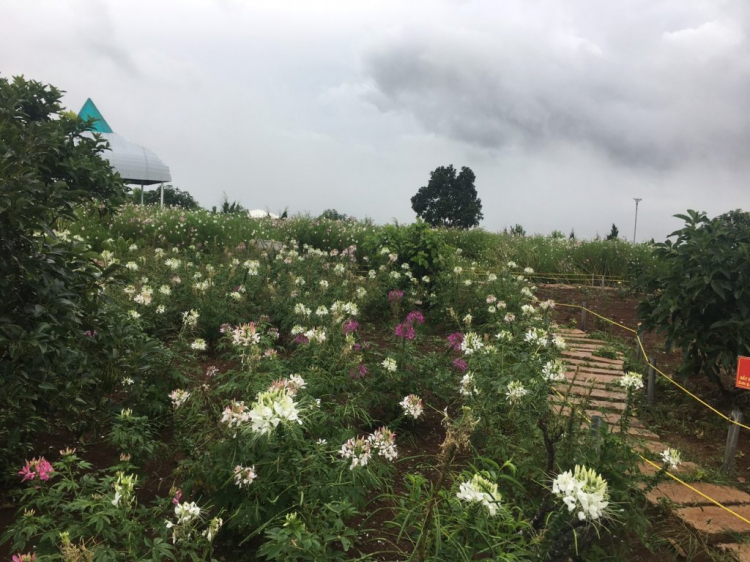 Tìm hiểu về Đak Nông Tìm hiểu về Đak Nông