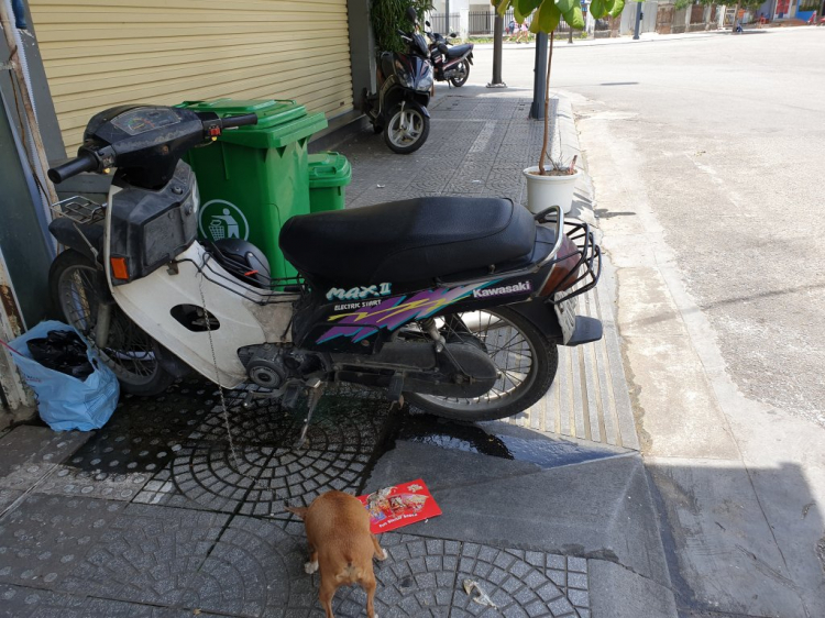 Tìm chỗ phục hồi Kawasaki Max II Tìm chỗ phục hồi Kawasaki Max II