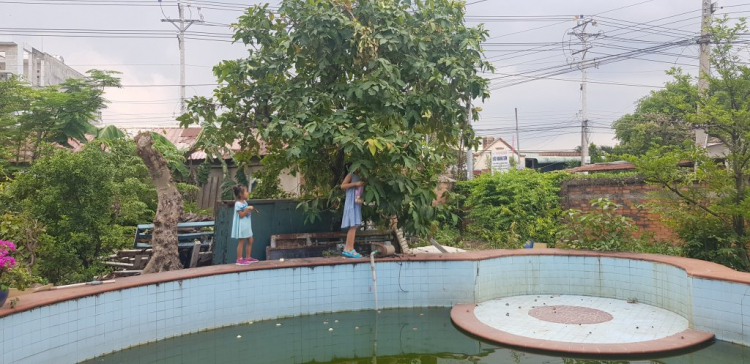 Thiết kế thi công hồ bơi Thiết kế thi công hồ bơi