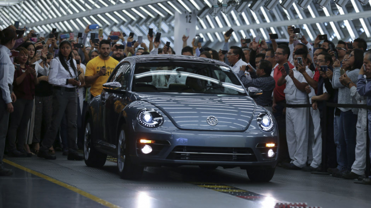 mexico_the_last_beetle (1).jpeg mexico_the_last_beetle (1).jpeg