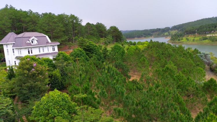 Tổng hợp các thớt về DALAT từ A đến Z Tổng hợp các thớt về DALAT từ A đến Z