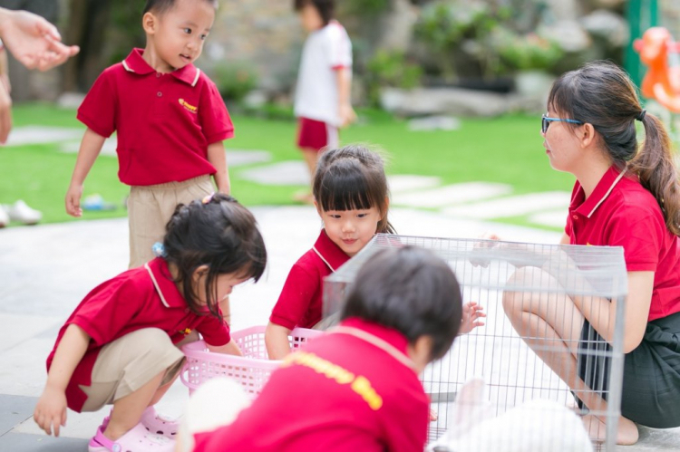 Cập nhật hạ tầng và dự án khu TML Cập nhật hạ tầng và dự án khu TML