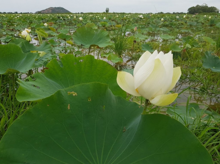 Hành trình 6.468 km phượt xuyên 3 nước Đông dương: Cam, Lào, VN