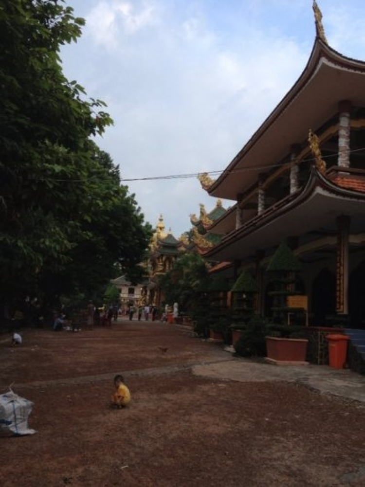 Hỏi đường đi nhà máy xi măng FICO, H Tân Châu, Tây Ninh.