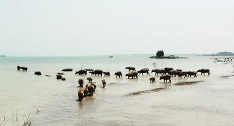 Hỏi đường đi nhà máy xi măng FICO, H Tân Châu, Tây Ninh.
