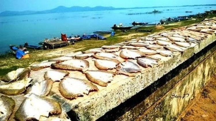 Hỏi đường đi nhà máy xi măng FICO, H Tân Châu, Tây Ninh.
