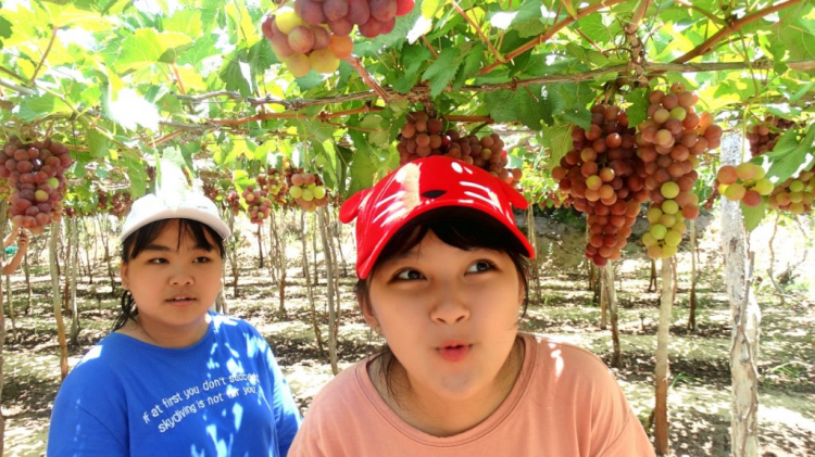 "DẠO" CÙNG RANGER XLS AT "DẠO" CÙNG RANGER XLS AT
