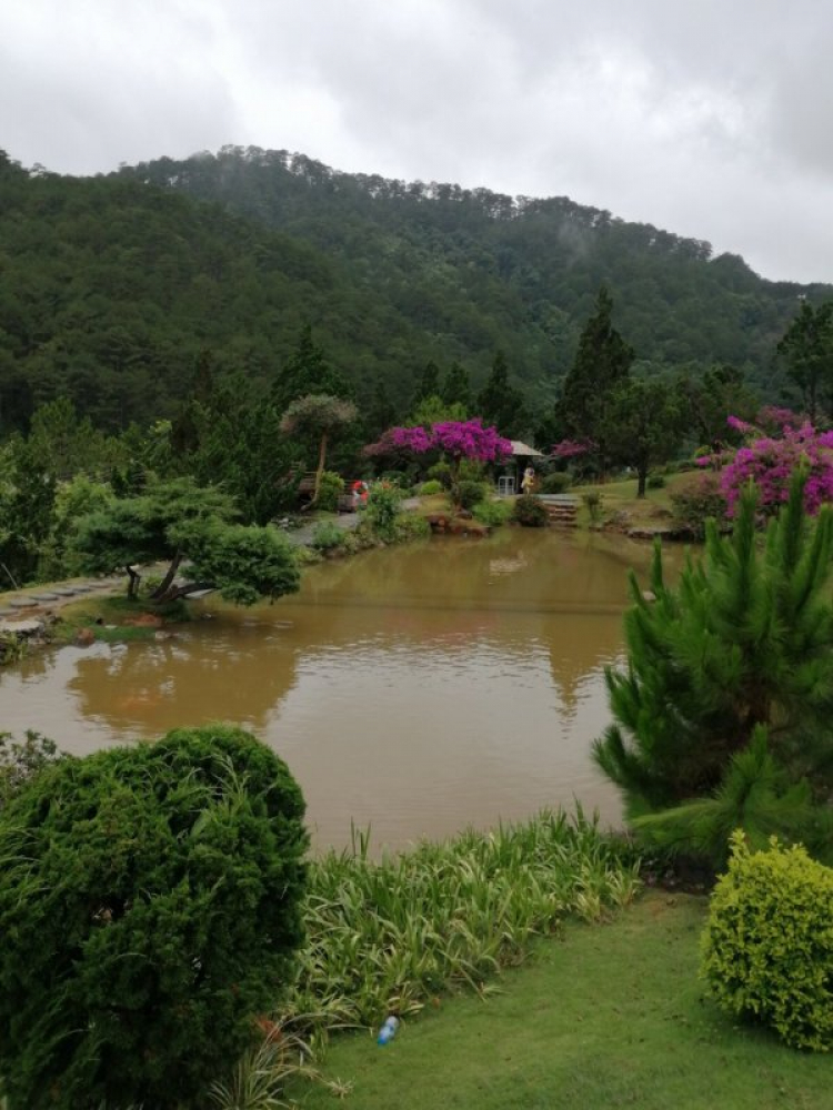 Đà Lạt, chỗ nào mới nên đi? Đà Lạt, chỗ nào mới nên đi?