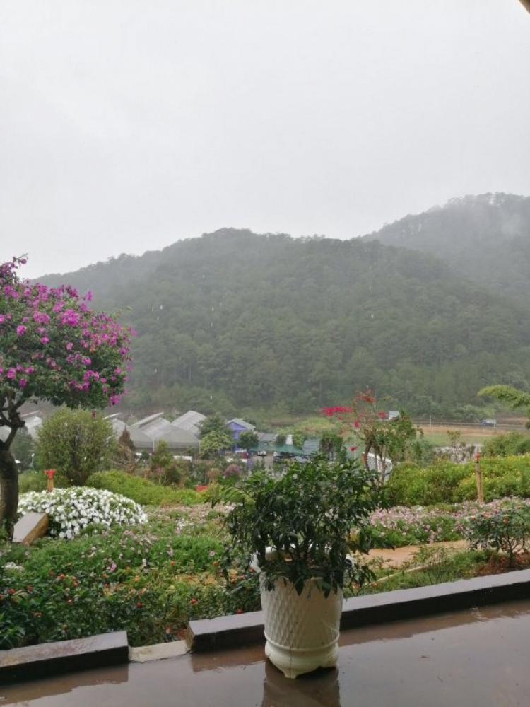 Đà Lạt, chỗ nào mới nên đi? Đà Lạt, chỗ nào mới nên đi?