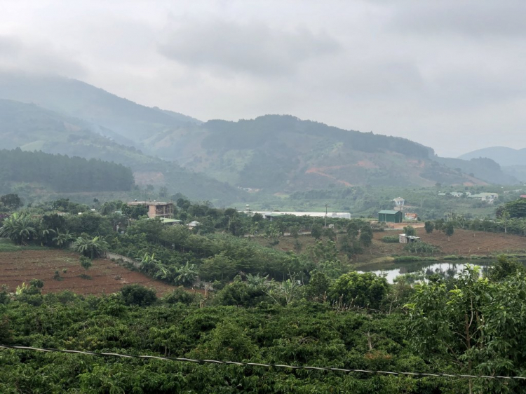 Đà Lạt, chỗ nào mới nên đi? Đà Lạt, chỗ nào mới nên đi?