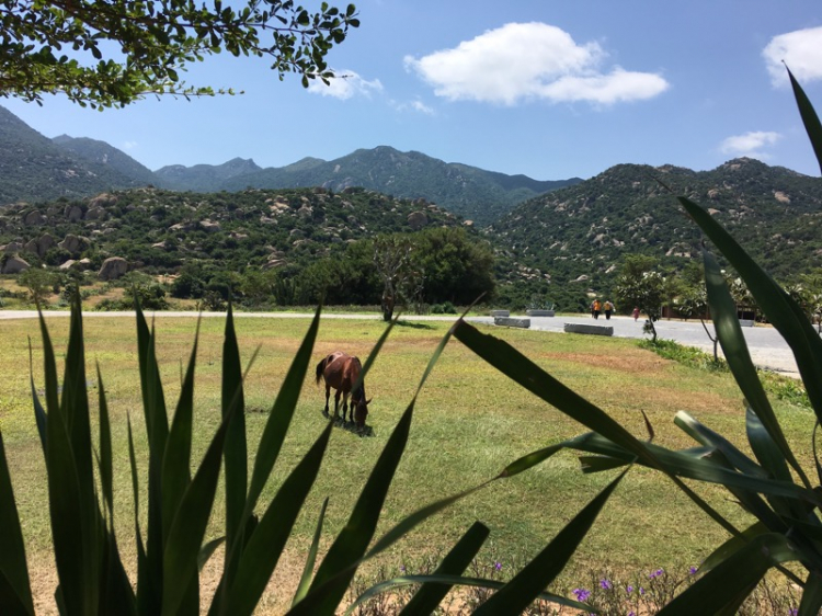 Ăn chơi phan rang ? Các ấy chi sẽ