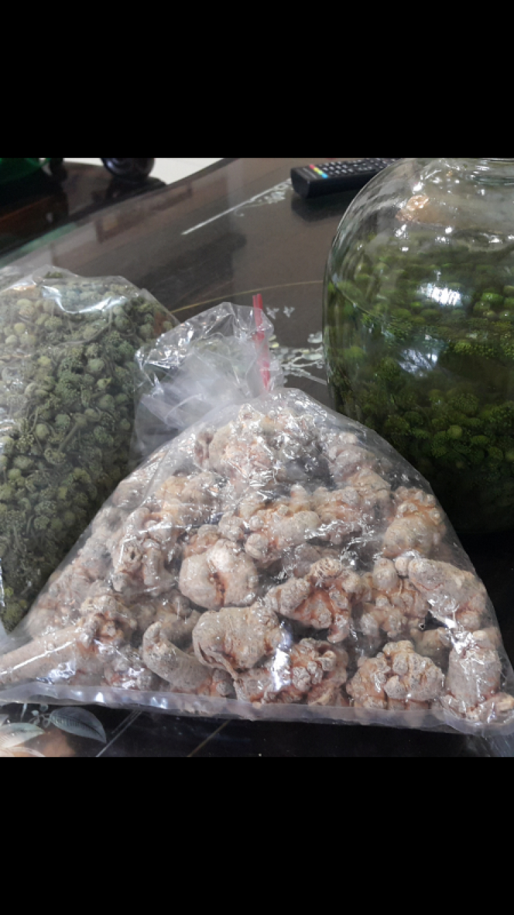 Cách dùng nụ và củ tam thất !!