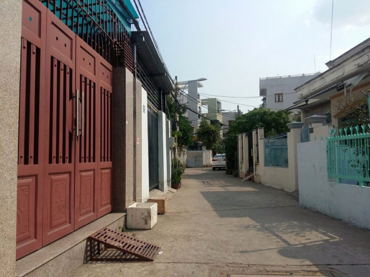 Tư vấn mua đất Phú Xuân, Nhà Bè