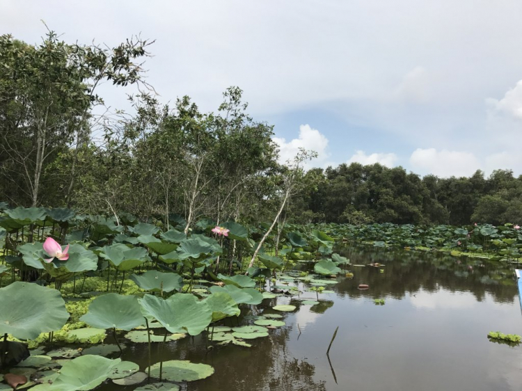 Hình ảnh miền Tây !