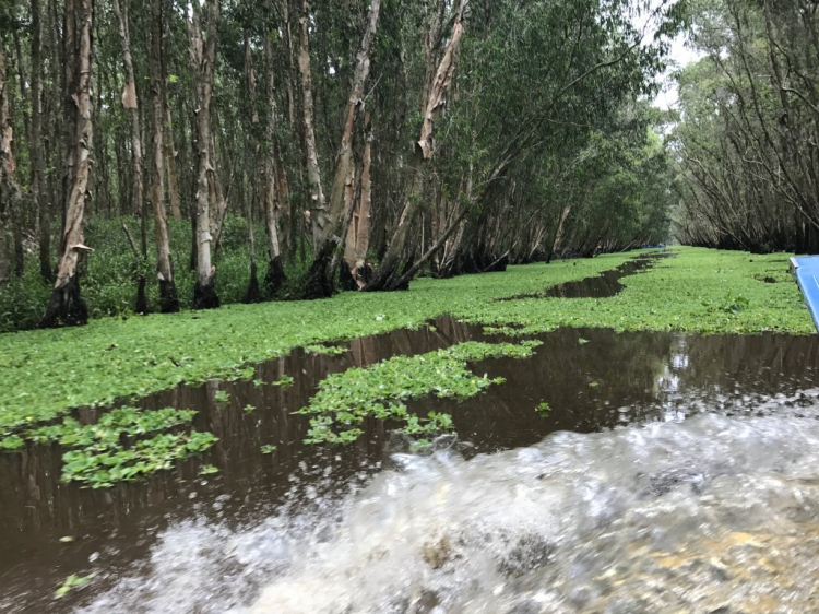 Hình ảnh miền Tây !