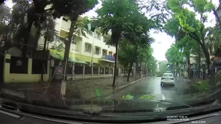 Người lái Ford Ranger Wildtrak “ủi” cây đổ chắn ngang đường ở Hà Nội