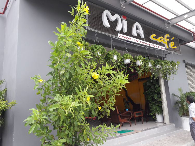 Tư vấn đầu tư mở quán cafe...