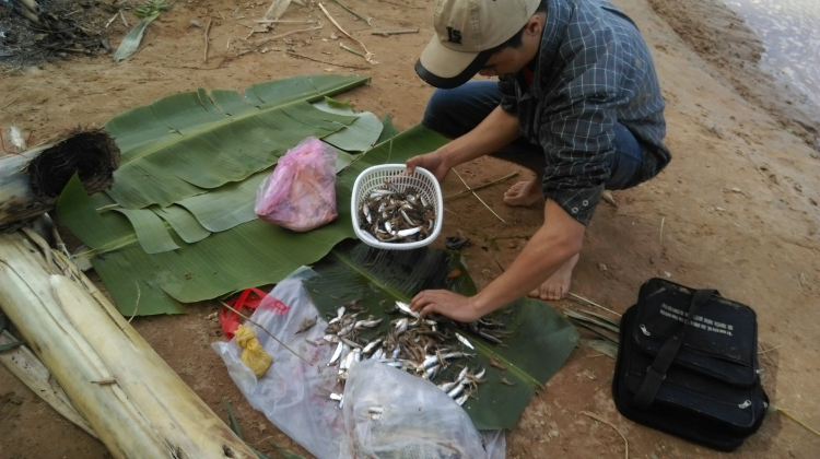 Gia Lai - KonTum có gì ăn và chơi