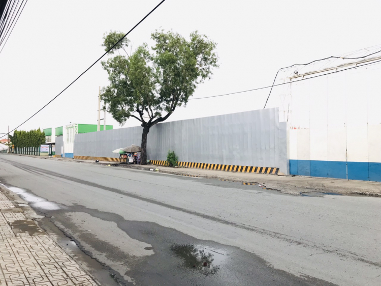 Tiếp tục series thứ 4 Ascent : Ascent Garden Home Quận 7 Tiếp tục series thứ 4 Ascent : Ascent Garden Home Quận 7