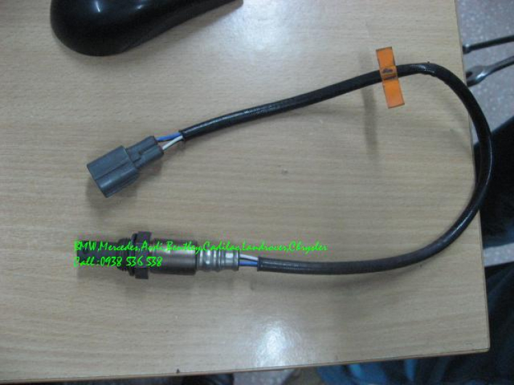 Tư vấn Tư vấn