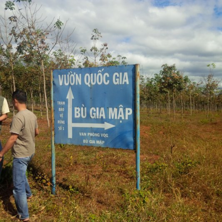 {TIỀN TRẠM}: ngày 17/1: Bù Gia Mập, về với những cánh rừng bạt ngàn,thả mình vào thiên nhiên