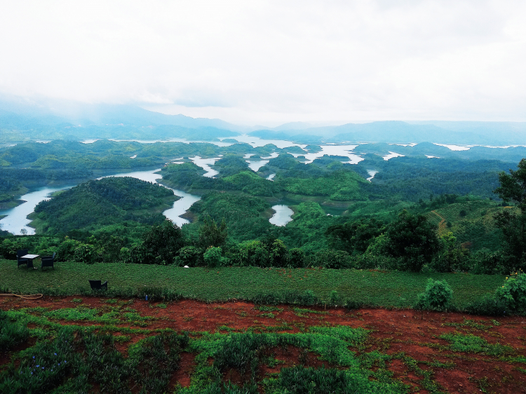 Jolie - Trên những nẻo đường