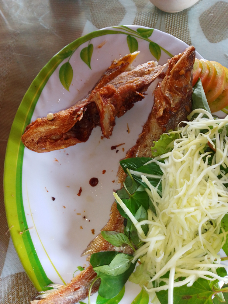 Mùa cá linh đến rồi ông giáo ơi Mùa cá linh đến rồi ông giáo ơi