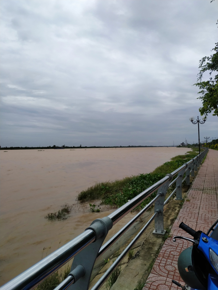 Mùa cá linh đến rồi ông giáo ơi Mùa cá linh đến rồi ông giáo ơi