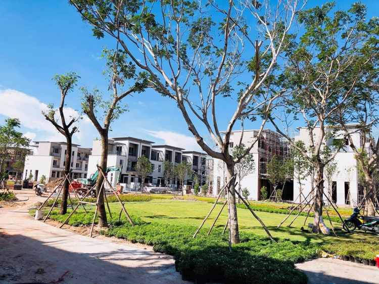 Đất Nhơn trạch lên kinh quá Đất Nhơn trạch lên kinh quá