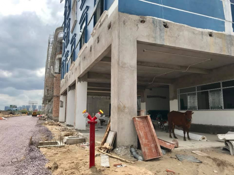 Palm City An Phú Quận 2 ( tạo mới 8/2019)