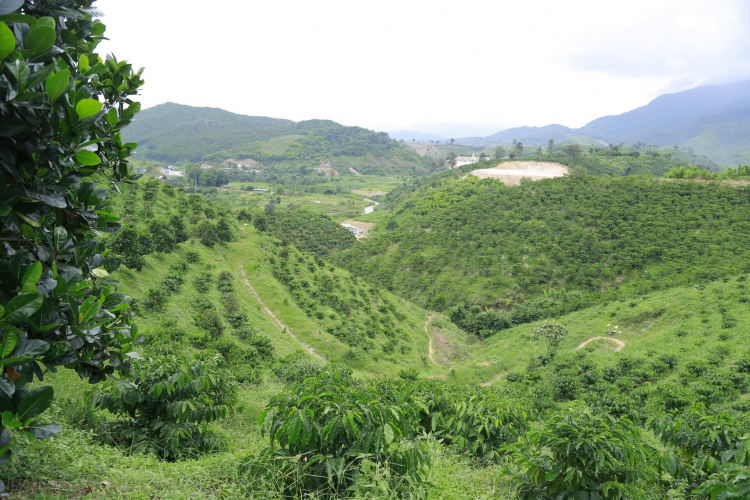 Trang trại sinh thái Lâm Nguyên