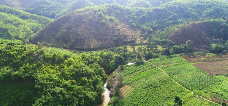 Trang trại sinh thái Lâm Nguyên- Lâm Đồng. LH 0901861620