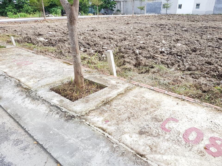 Đất nền ngay thị trấn Nhà Bè, SHR đã có, xd tự do giờ mua để đó được ko các bác Đất nền ngay thị trấn Nhà Bè, SHR đã có, xd tự do giờ mua để đó được ko các bác