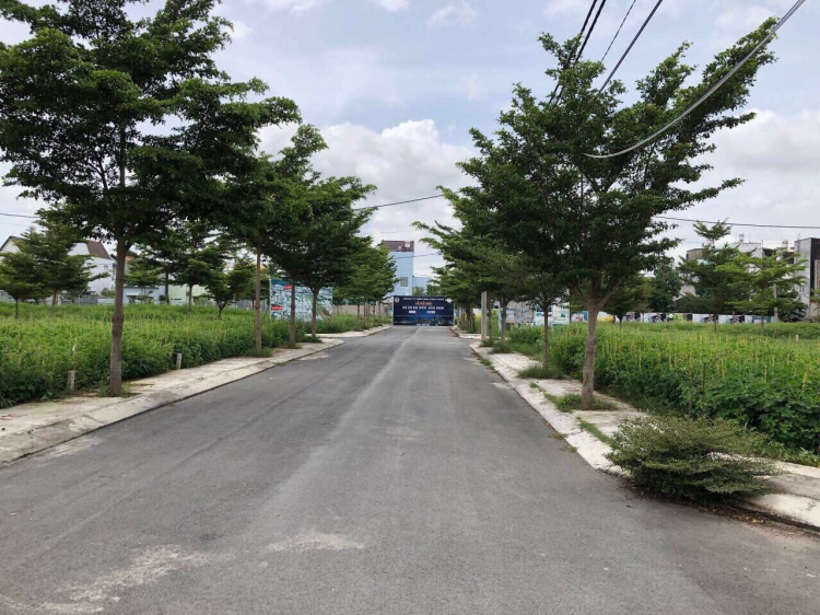 Đất nền ngay thị trấn Nhà Bè, SHR đã có, xd tự do giờ mua để đó được ko các bác Đất nền ngay thị trấn Nhà Bè, SHR đã có, xd tự do giờ mua để đó được ko các bác