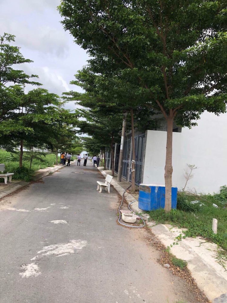 Đất nền ngay thị trấn Nhà Bè, SHR đã có, xd tự do giờ mua để đó được ko các bác Đất nền ngay thị trấn Nhà Bè, SHR đã có, xd tự do giờ mua để đó được ko các bác