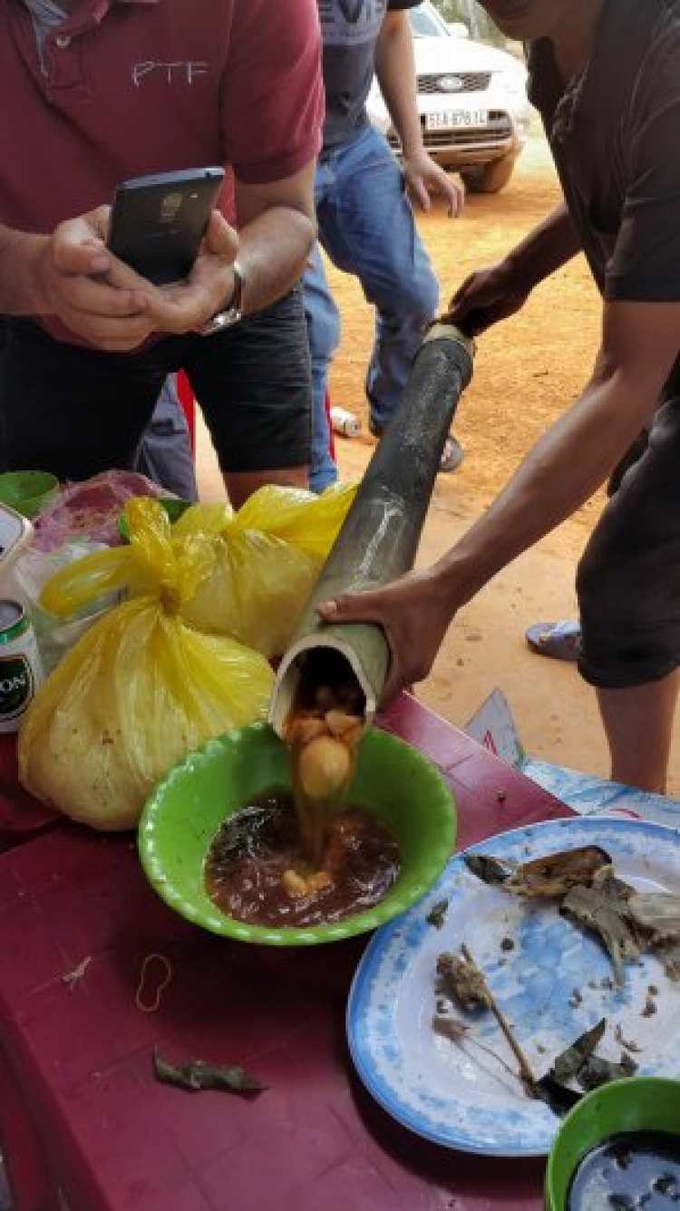 {TIỀN TRẠM}: ngày 17/1: Bù Gia Mập, về với những cánh rừng bạt ngàn,thả mình vào thiên nhiên