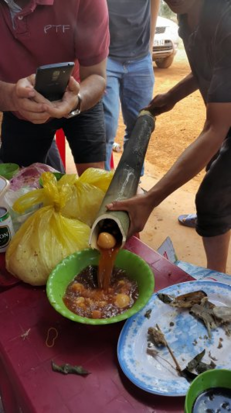 {TIỀN TRẠM}: ngày 17/1: Bù Gia Mập, về với những cánh rừng bạt ngàn,thả mình vào thiên nhiên