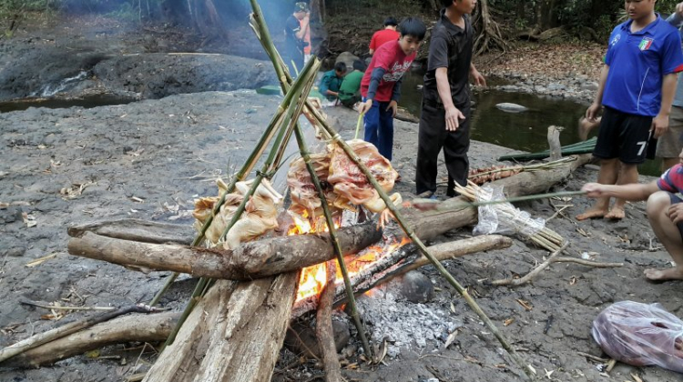 {TIỀN TRẠM}: ngày 17/1: Bù Gia Mập, về với những cánh rừng bạt ngàn,thả mình vào thiên nhiên