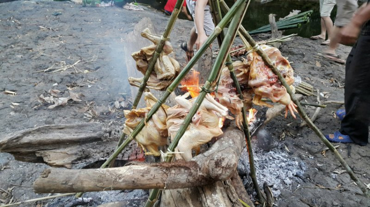 {TIỀN TRẠM}: ngày 17/1: Bù Gia Mập, về với những cánh rừng bạt ngàn,thả mình vào thiên nhiên