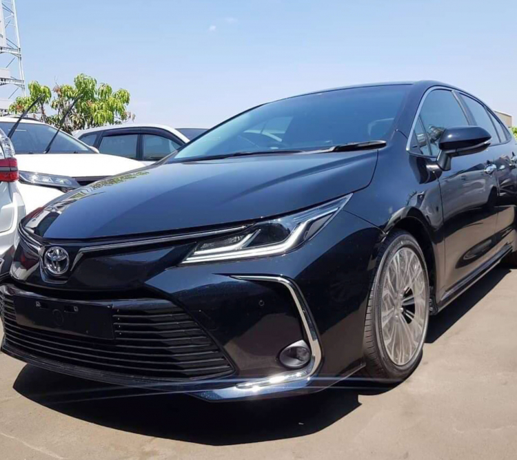 Toyota Corolla Altis mới khả năng sẽ về Việt Nam vào tháng 10 - 11 năm nay