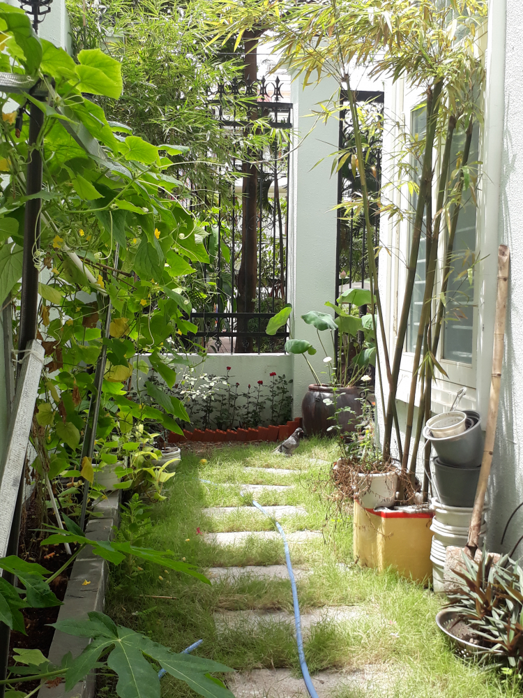 Khoe nhà tự làm Khoe nhà tự làm